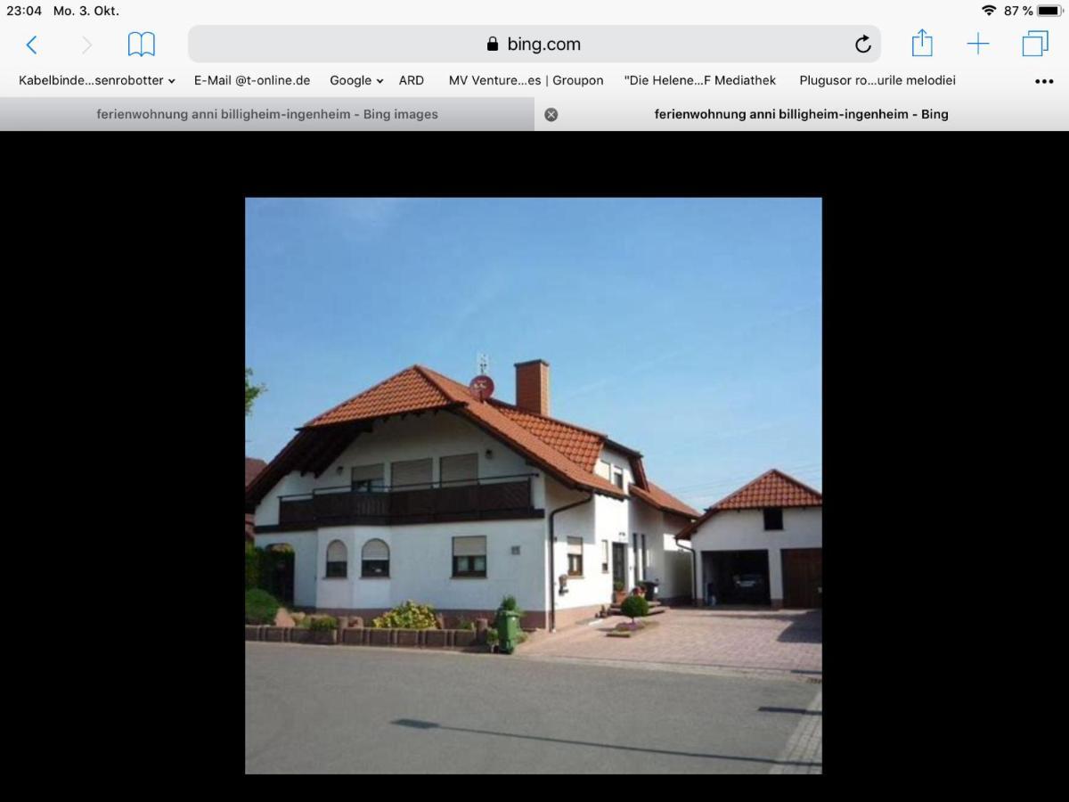 „Ferienwohnung Anni“ Billigheim-Ingenheim Kültér fotó